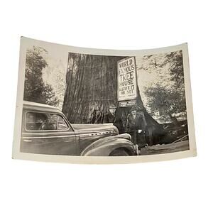 1940s B&W World Famous Tree House Believe It or Not Fraternal Monarch Vehicle